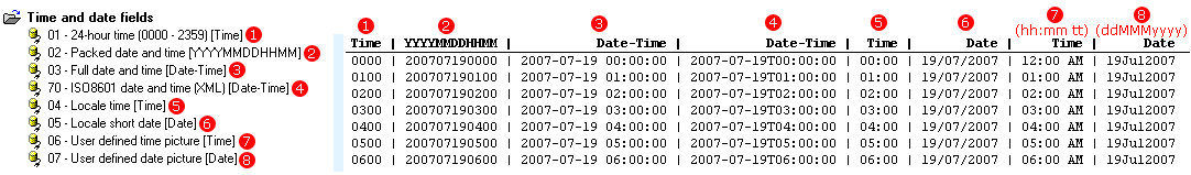 Custom List Time and Date Fields
